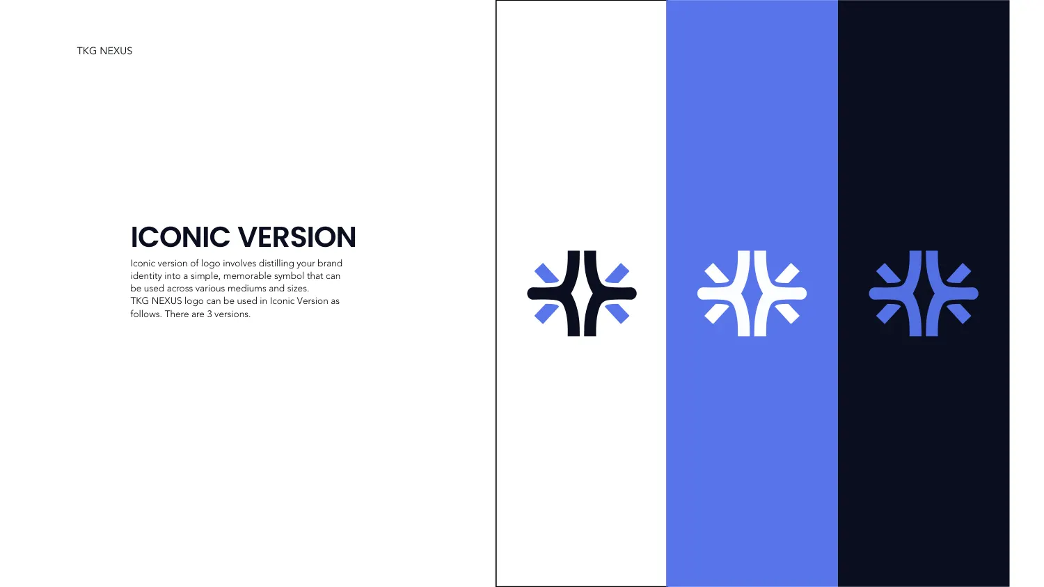 The TKG Nexus iconic version page showing the radiating symbol in three colourways on white, electric blue and near-black panels