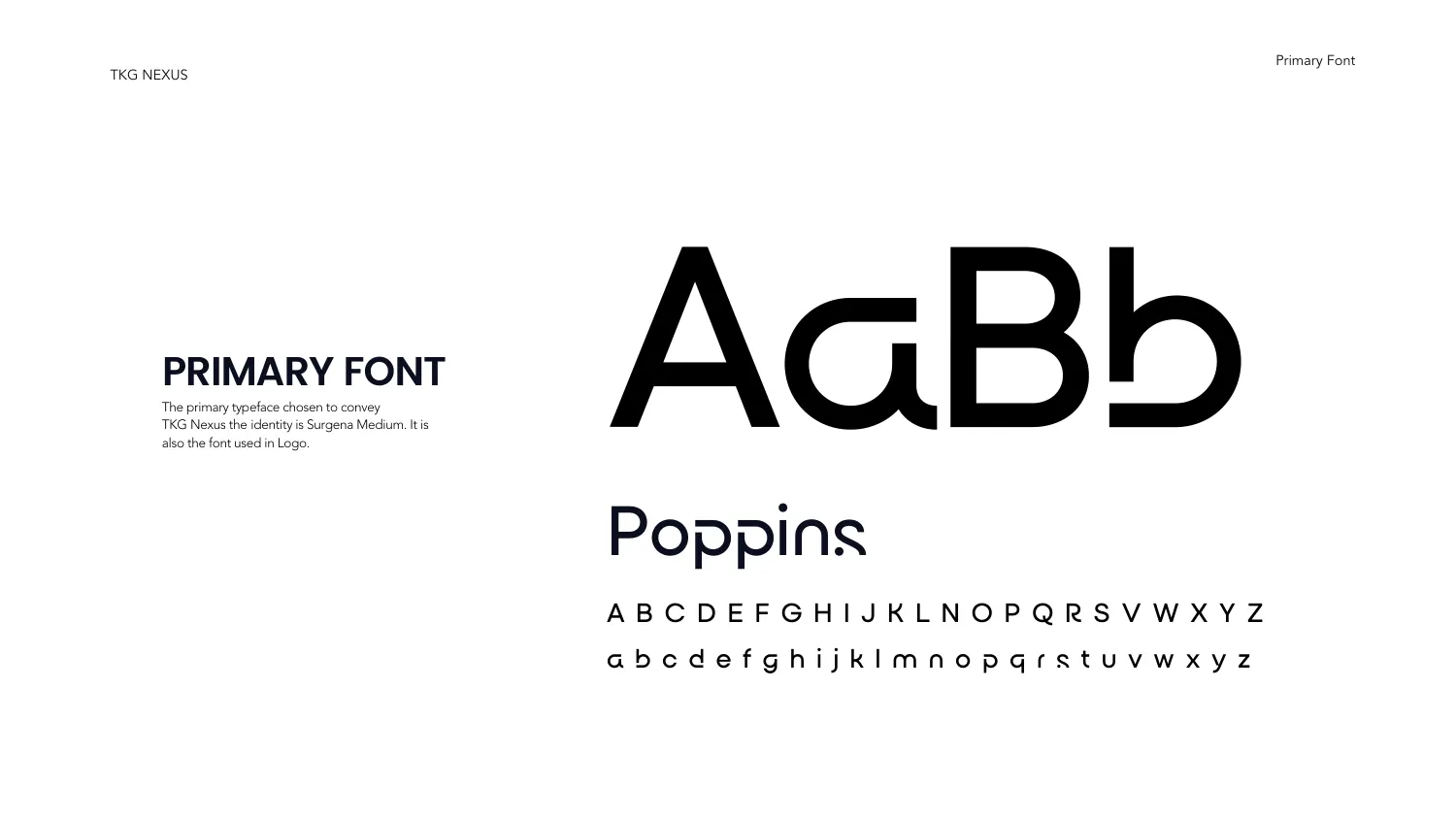 Inside the Brand Standards brand guidelines — page 18, covering logo usage, colour values and type rules
