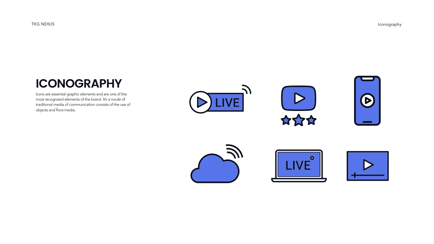 Inside the Brand Standards brand guidelines — page 25, covering logo usage, colour values and type rules